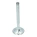 Inlet Valve (32x95mm)