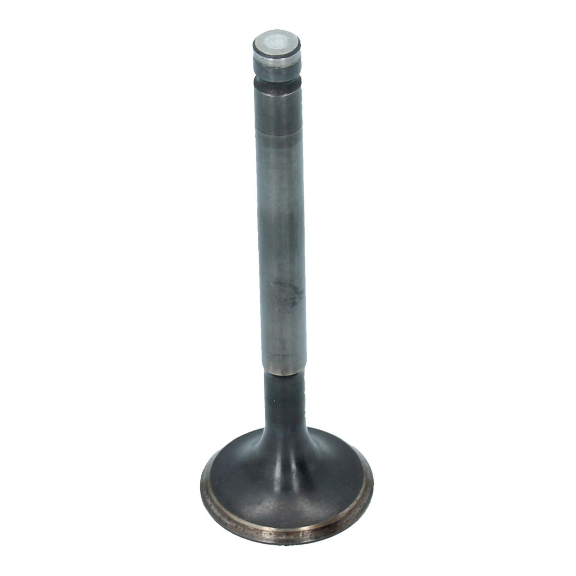 Inlet Valve (30x95mm)