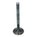 Inlet Valve (30x95mm)