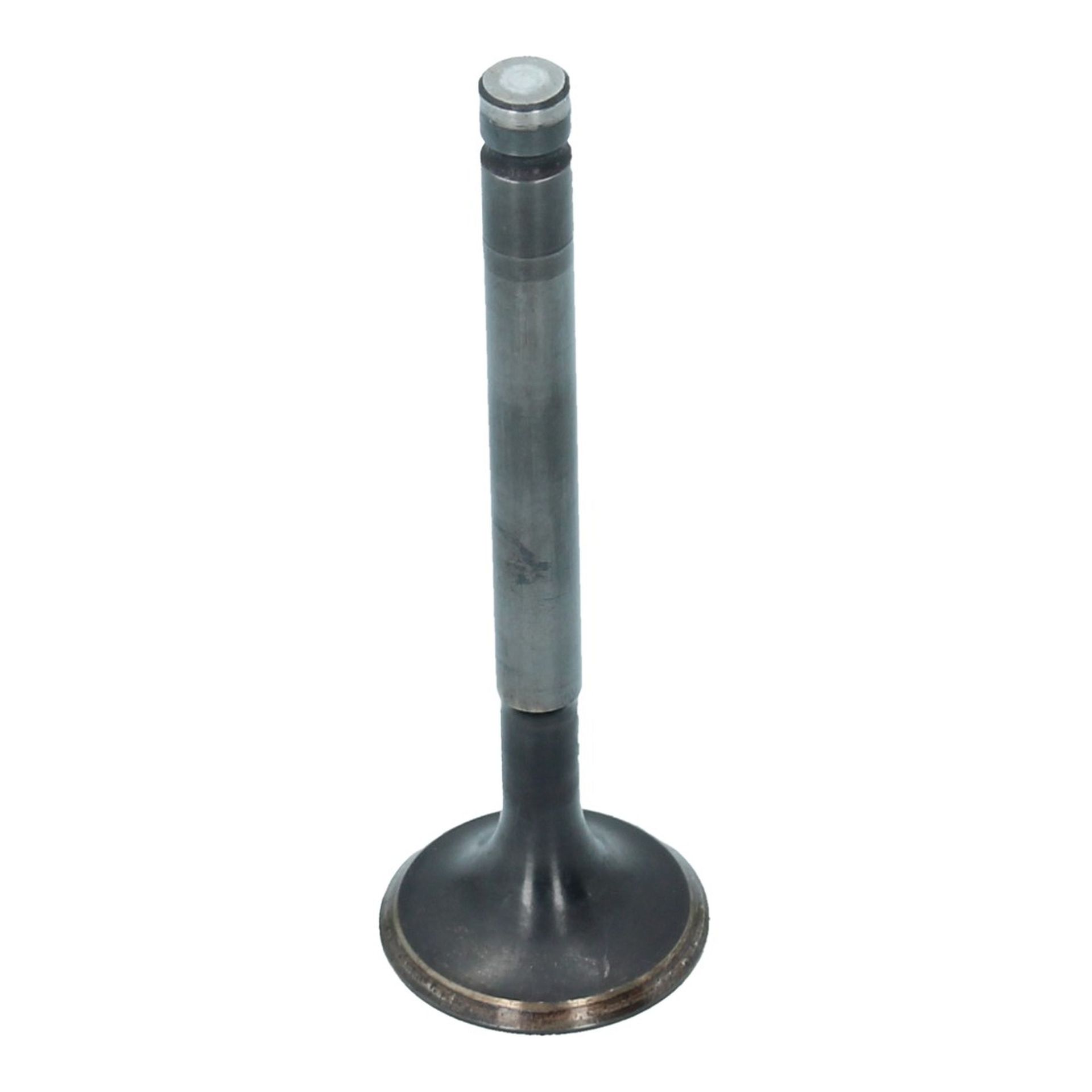 Inlet Valve (30x95mm)