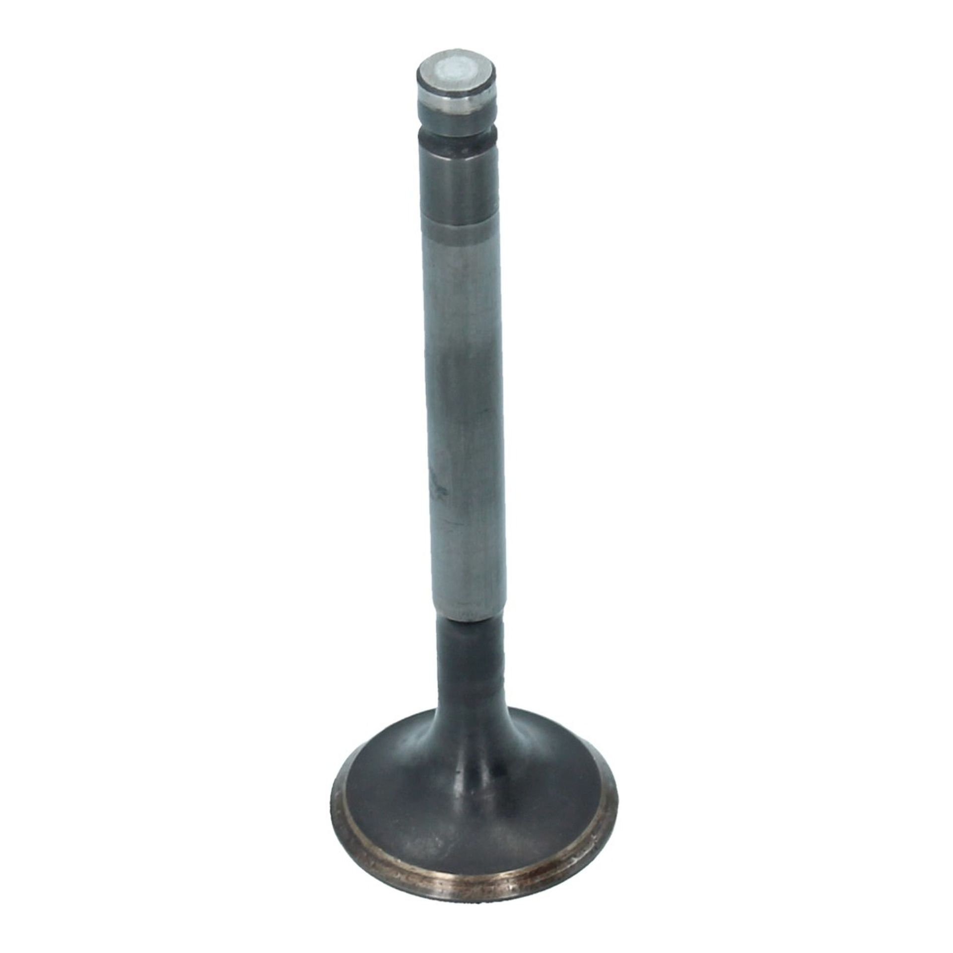 Inlet Valve (30x95mm)