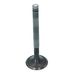 Inlet Valve (30x95mm)