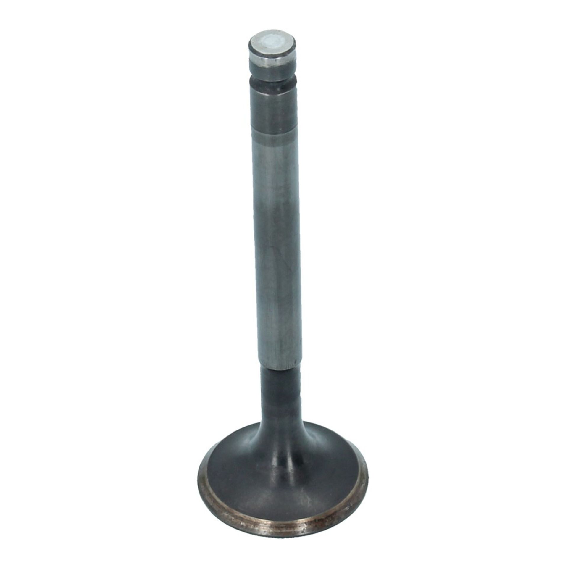 Inlet Valve (30x95mm)