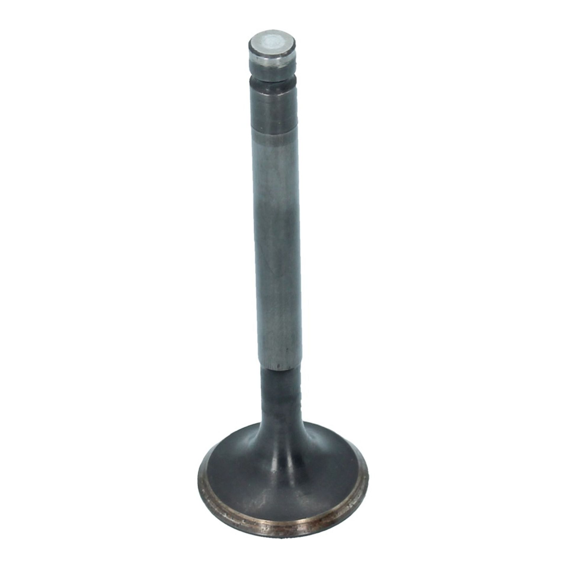 Inlet Valve (30x95mm)