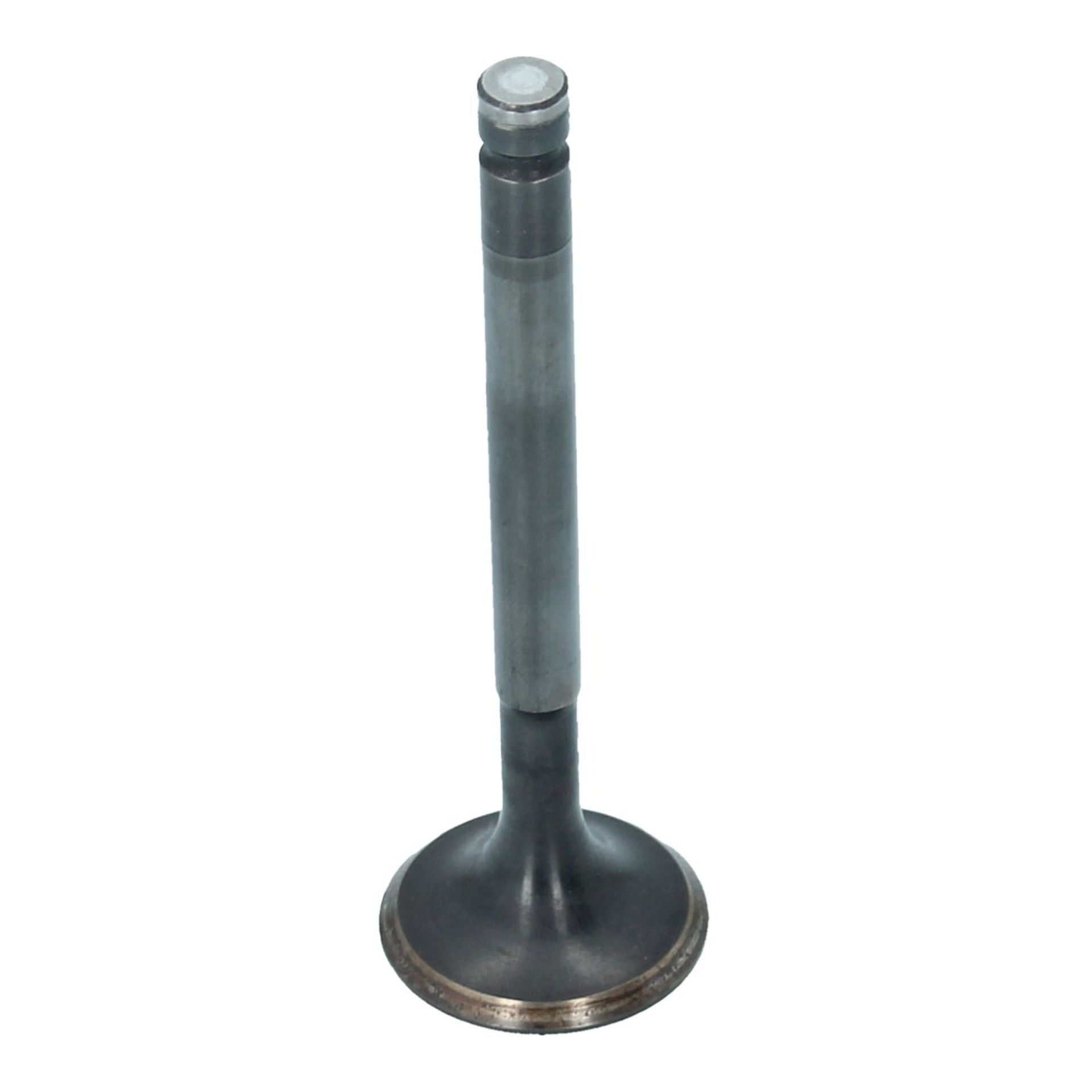 Inlet Valve (30x95mm)
