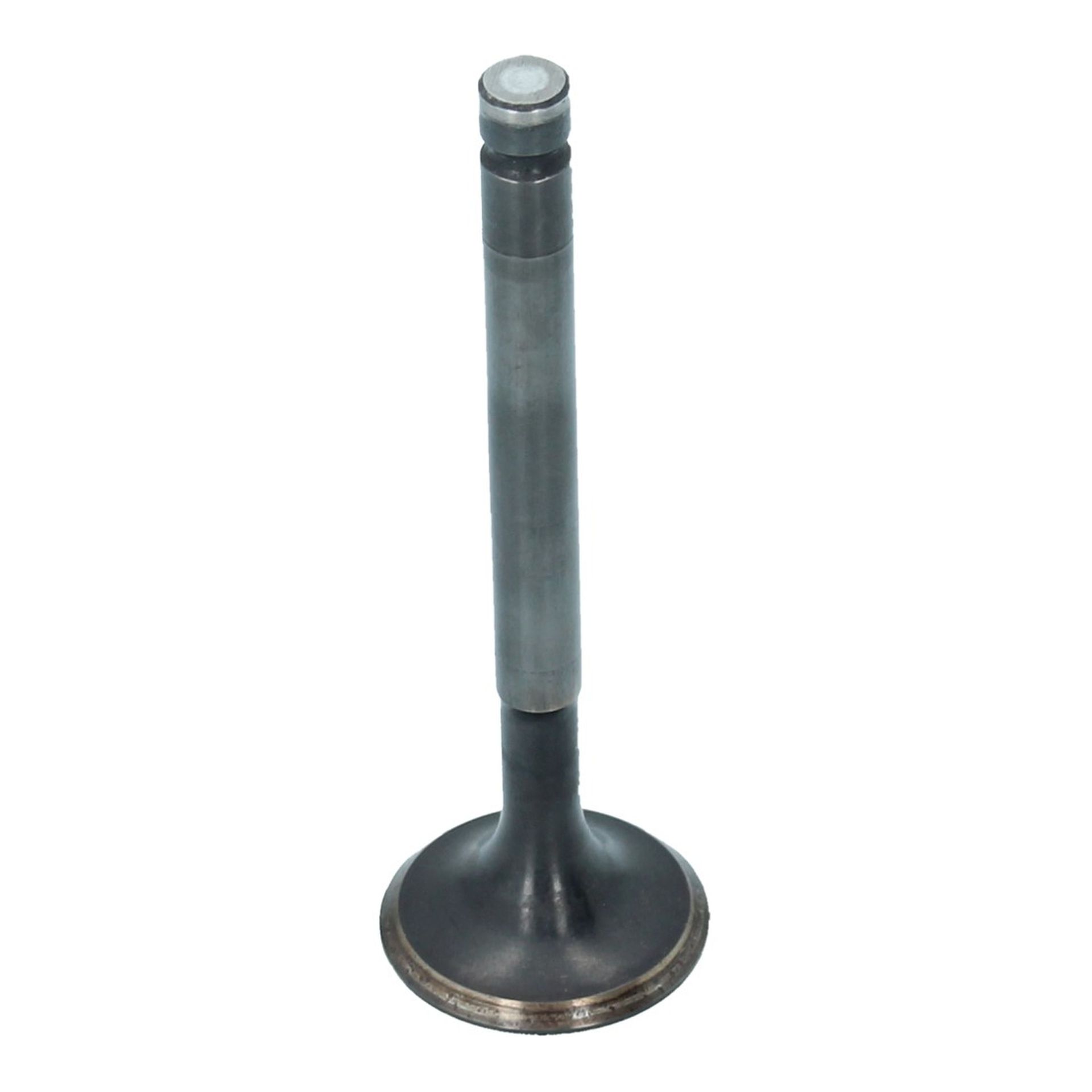 Inlet Valve (30x95mm)