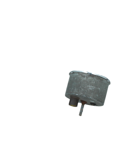 Veglia Water Temp gauge