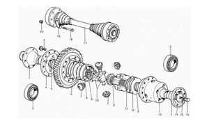 Differential & Axle Shafts