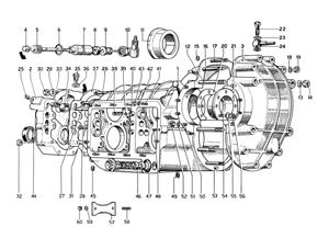 Transmission Case - Differential