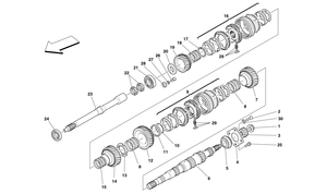 Primary Shaft Gears