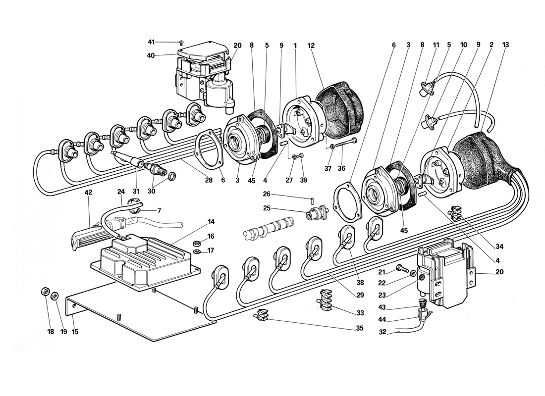 Schematic: Engine Ignition